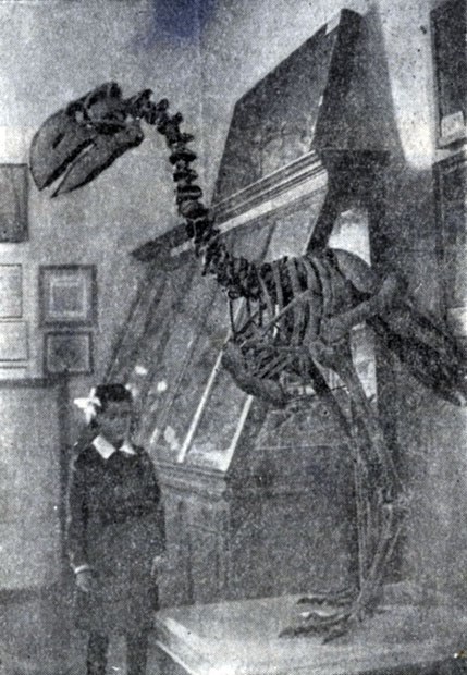 Кастор (СИ) - _18.jpg