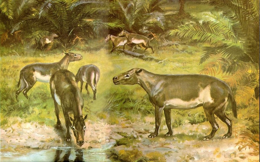 Кастор (СИ) - _34.jpg