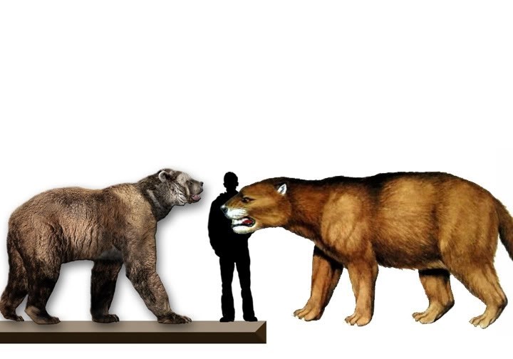 Кастор (СИ) - _51.jpg