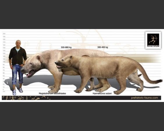 Кастор (СИ) - _53.jpg