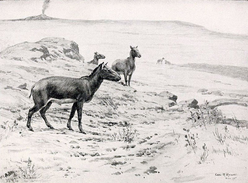 Кастор (СИ) - _57.jpg