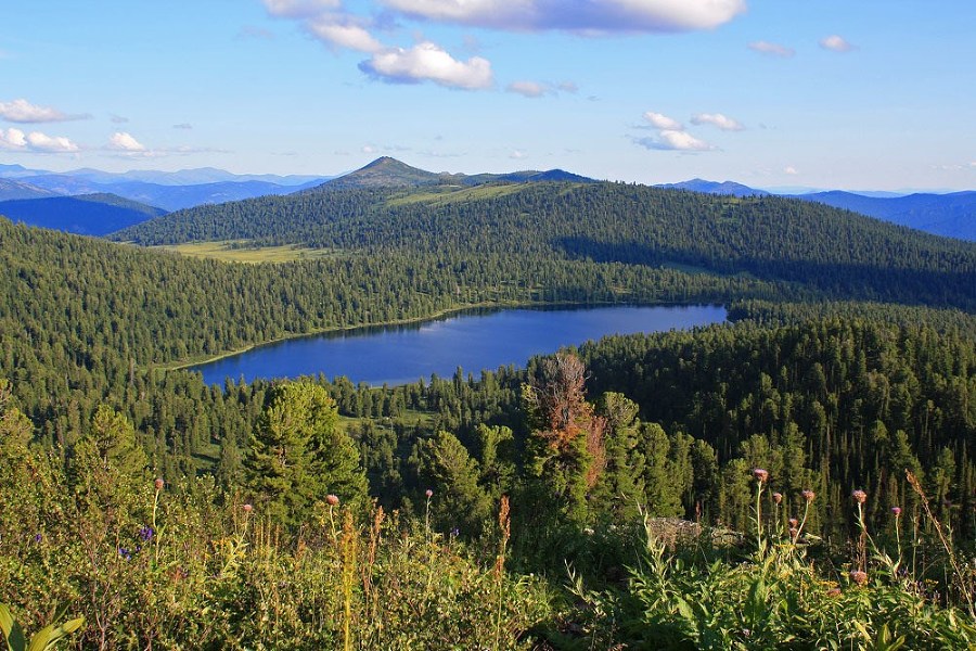 Кастор (СИ) - _61.jpg