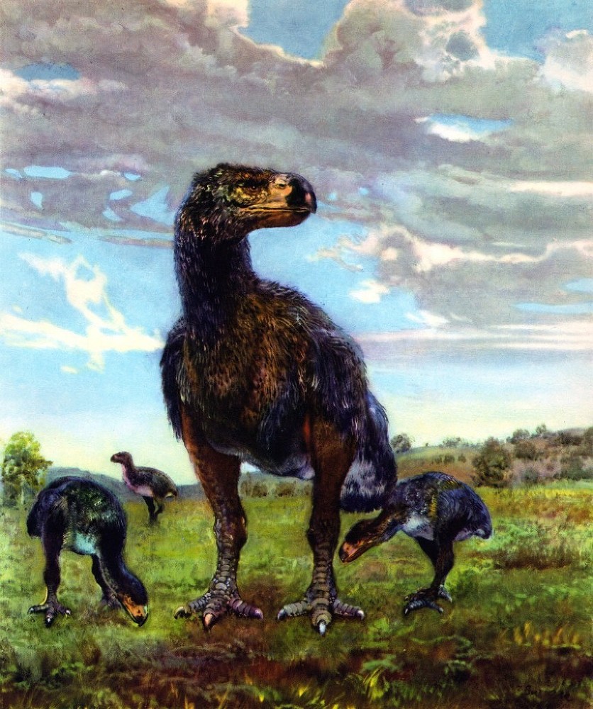 Кастор (СИ) - _12.jpg