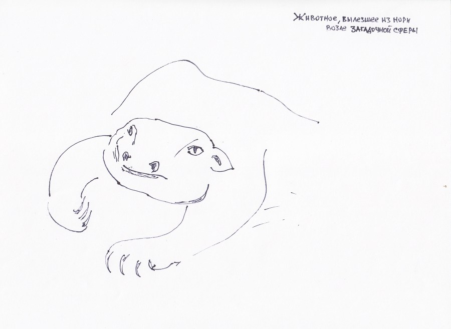 Кастор (СИ) - _24.jpg