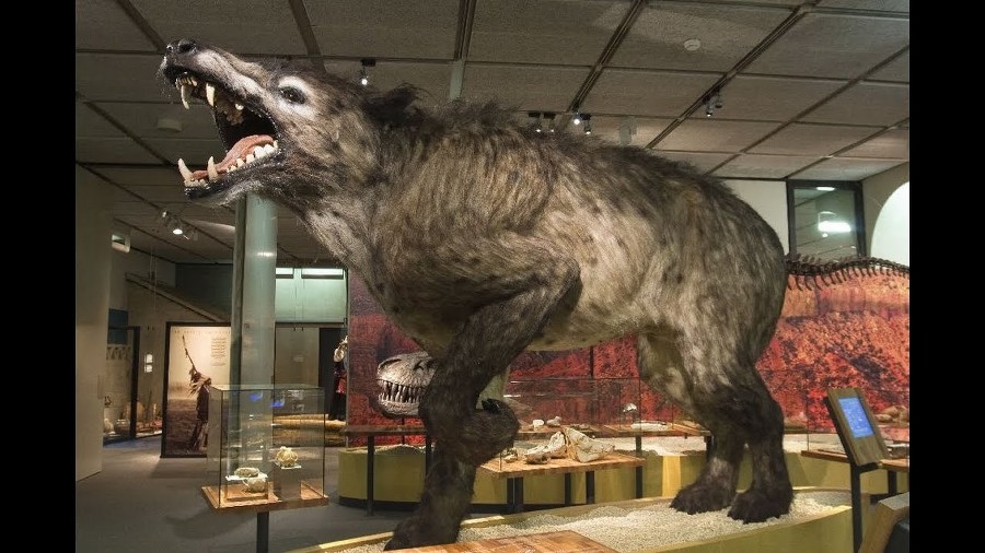 Кастор (СИ) - _39.jpg