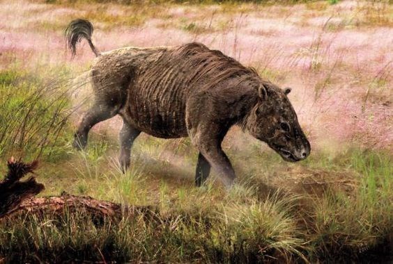 Кастор (СИ) - _43.jpg