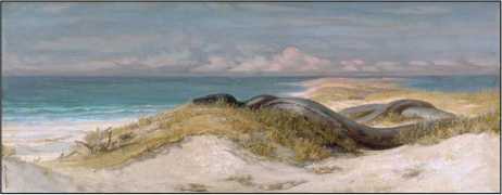 Из глубины глубин<br />(Рассказы о морском змее. Том II) - i_004.jpg