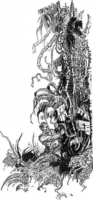 Вампиры пустыни<br />(Том I) - i_014.jpg