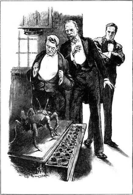 Вампиры пустыни<br />(Том II) - i_007.jpg