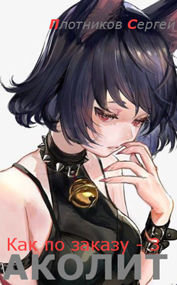 Книга Аколит (СИ)