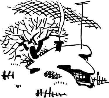 Повести и рассказы - i_029.jpg