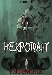 Книга Искра Эллириона. Книга I Некромант (СИ)