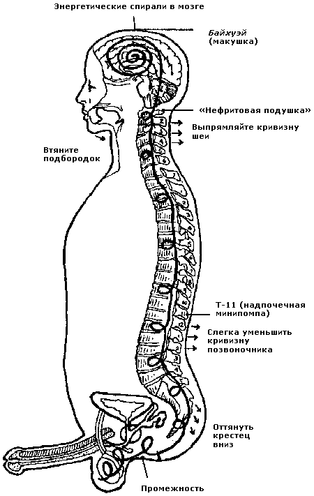 Совершенствование мужской сексуальной энергии - i_021.png