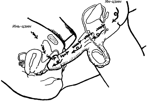 Совершенствование мужской сексуальной энергии - i_034.png