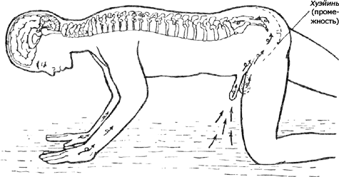 Совершенствование мужской сексуальной энергии - i_041.png
