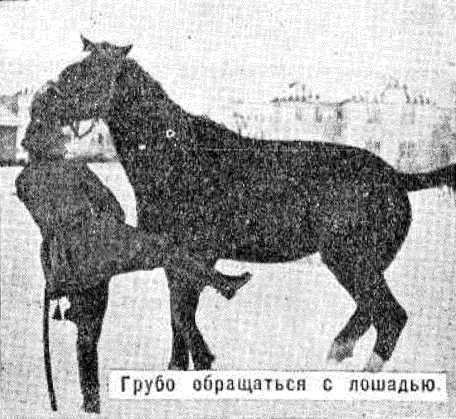 Боевой товарищ<br />(Лошадь и уход за ней) - i_003.jpg