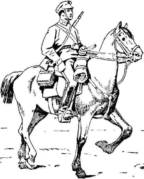 Боевой товарищ<br />(Лошадь и уход за ней) - i_005.jpg