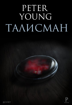 Книга Талисман (СИ)