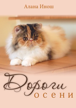 Читать онлайн книгу Дороги осени (СИ) автор Инош Алана Книга Дороги осени (СИ)