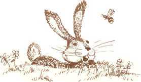 Латышские народные сказки - _9678.jpg