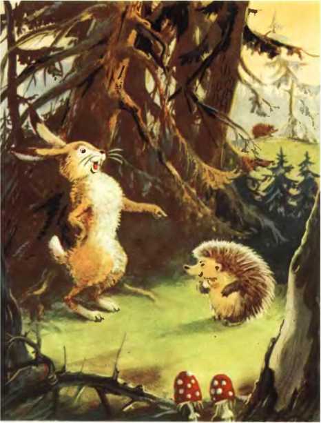 Латышские народные сказки - _9680.jpg