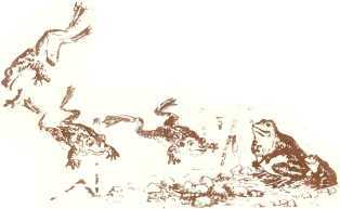 Латышские народные сказки - _9683.jpg