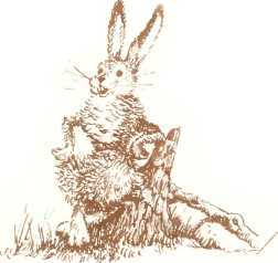 Латышские народные сказки - _9685.jpg