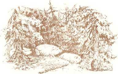 Латышские народные сказки - _96167.jpg