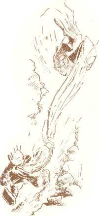 Латышские народные сказки - _96173.jpg