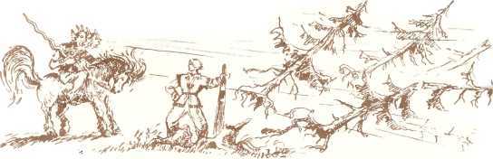 Латышские народные сказки - _96174.jpg