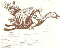 Латышские народные сказки - _96190.jpg