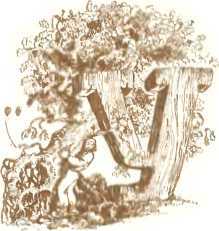 Латышские народные сказки - _96191.jpg