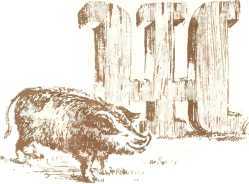 Латышские народные сказки - _96310.jpg