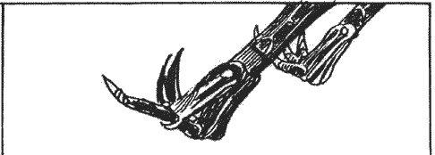 Бокал звезд - _181.png