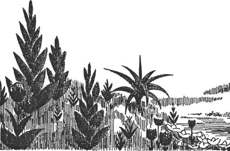 Бокал звезд - _4.png