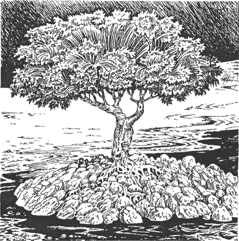 Бокал звезд - _8.png