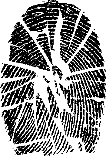 Том 2. Реквием блондинкам - id59726_any2fbimgloader0.png