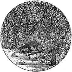 Ледниковый человек<br />(В дали времен. Том IV) - i_033.jpg