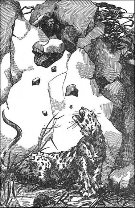 Ледниковый человек<br />(В дали времен. Том IV) - i_041.jpg