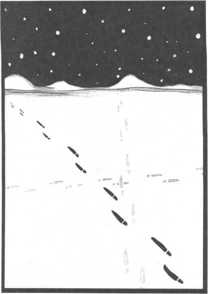 Круги ужаса<br />(Новеллы) - i_012.jpg