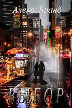 Читать онлайн книгу Выбор (СИ) автор Бранд Алекс Книга Выбор (СИ)