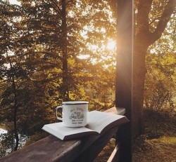 Книга М (СИ)