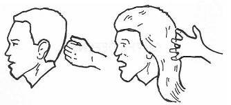 Руководство по выживанию среди зомби: всё о защите от живых мертвецов - _042.jpg