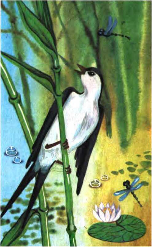 Волшебные сказки. Преступление лорда Артура Сэвила<br />(Илл. Ж. М. Зинченко) - i_007.jpg