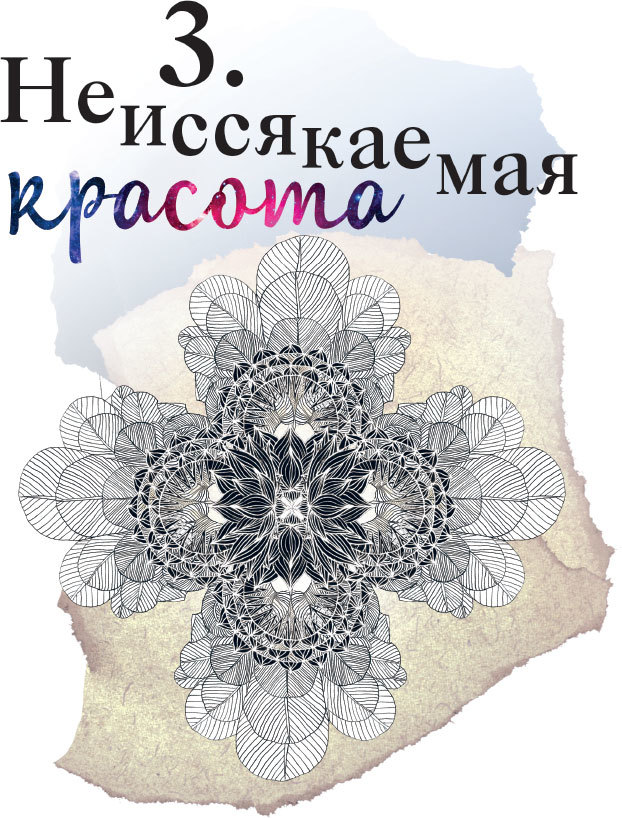 Сила йоги. Асаны для повседневной жизни, секреты красоты и гармоничных отношений - i_013.jpg