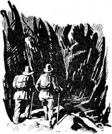 Через тысячу лет<br />(Научно-фантастическая проза) - i_005.jpg