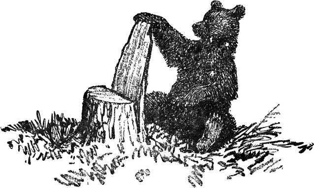 Таежные рассказы - i_028.jpg