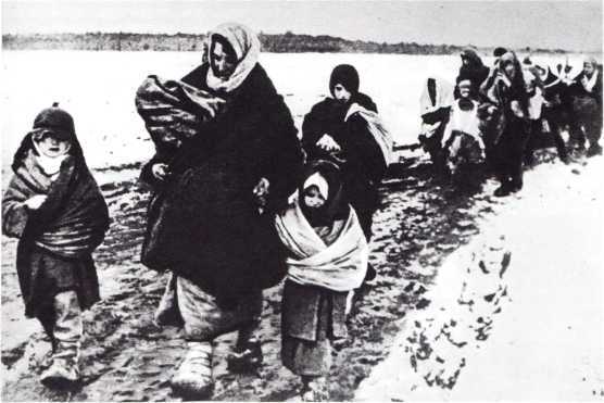 Тысяча четыреста восемнадцать дней<br />(Рассказы о битвах и героях Великой Отечественной войны) - i_178.jpg