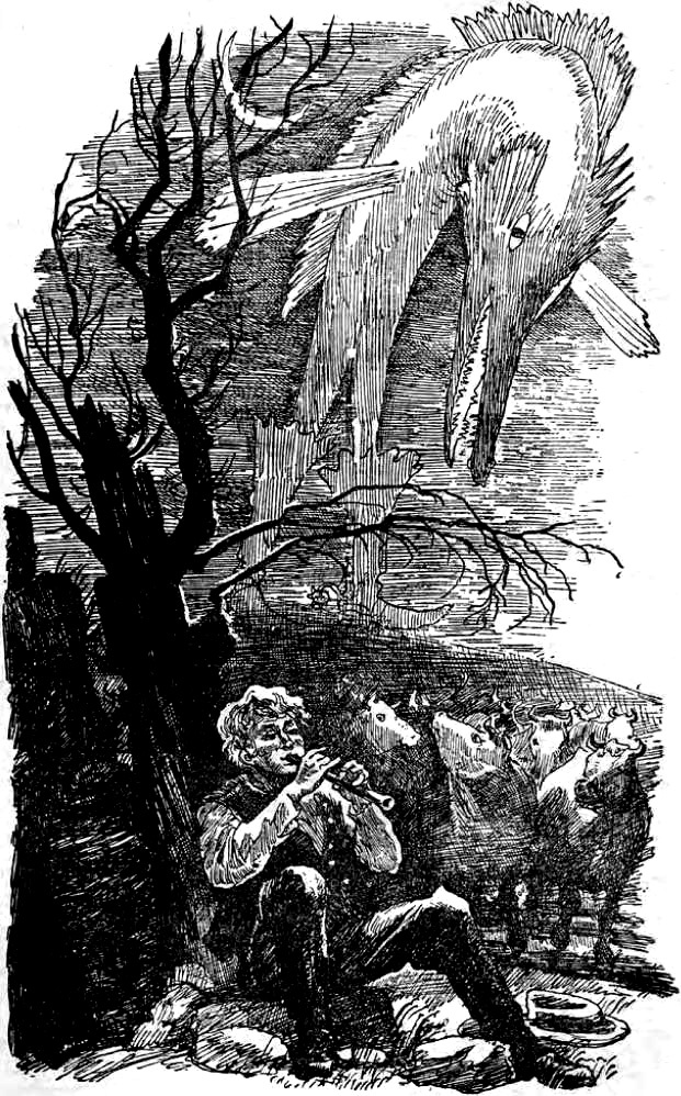 Свен, не умевший лгать<br />(Народные сказки) - i_007.jpg