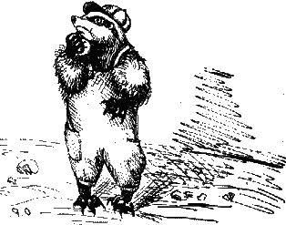 Потрясающий Мистер Лис - bar_som.png